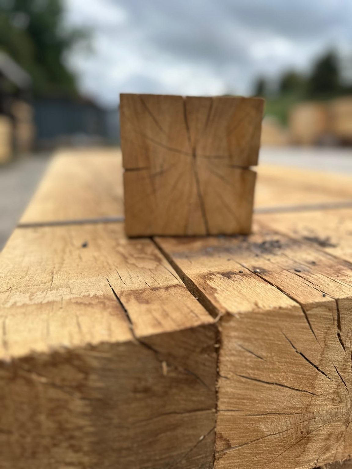 Structural Oak Beams 150mm x 150mm | Coltman Bros Timber Merchants