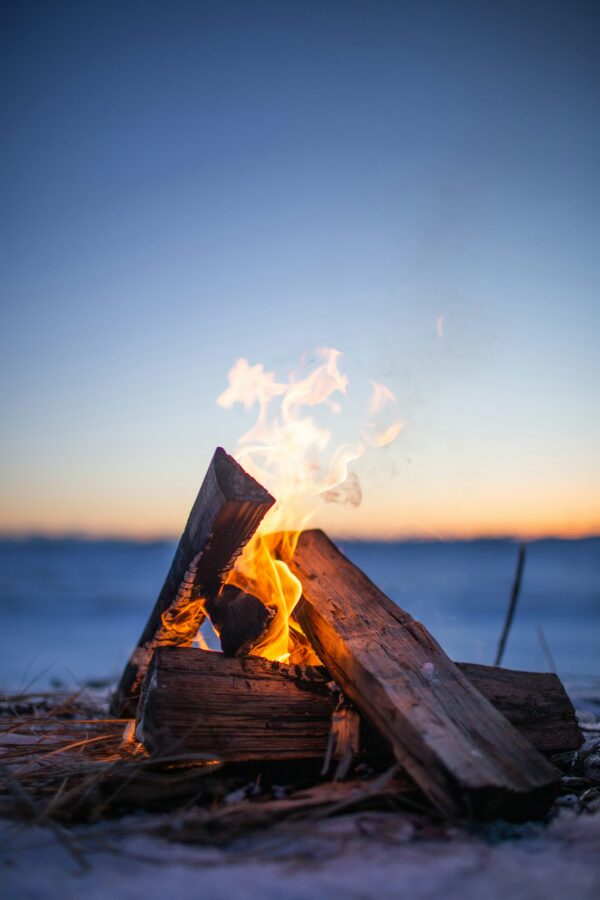 Firewood kiln dried hardwood