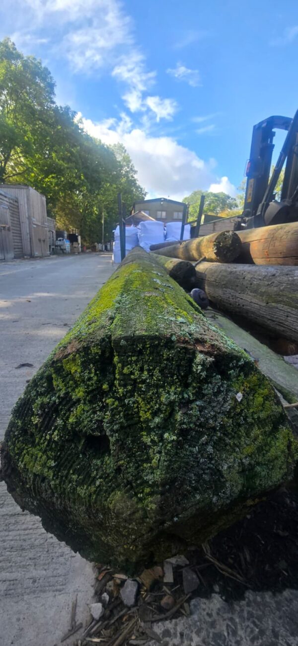 BT TELEGRAPH POLE