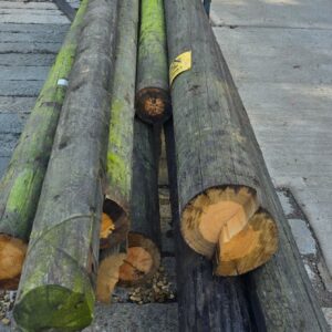 BT TELEGRAPH POLE