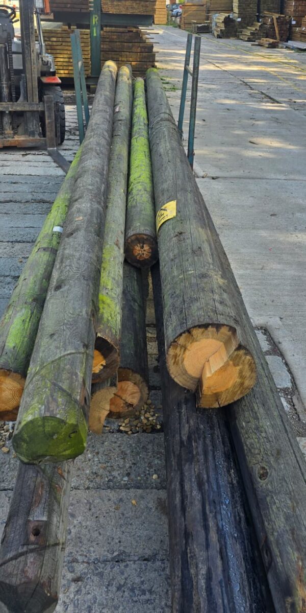 BT TELEGRAPH POLE